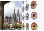 Kultur - Litfaßsäulen 4 (C) Bilddokumentation Stadt Regensburg