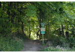 Fotografie - Wanderweg (C) Bilddokumentation Stadt Regensburg