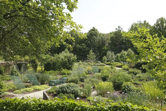 Fotografie - Blick in den Botanischen Garten