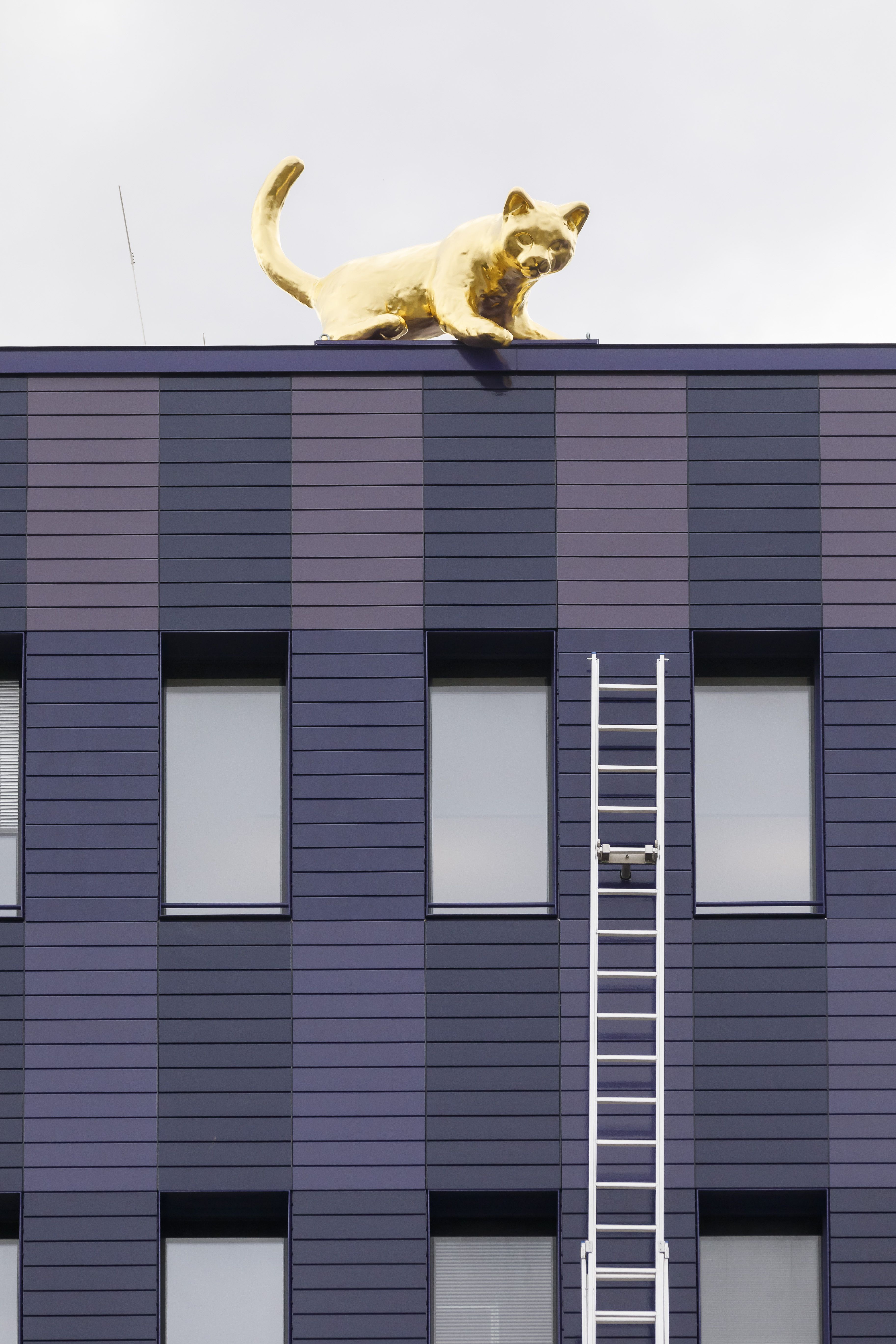 Fotografie: Die am Gebäude angestellte Leiter ist Teil des Kunstwerks. 