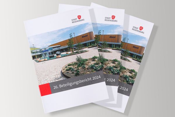 Städtische Unternehmen - Fotografie - mehrere Beteiligungsberichte auf einem Tisch