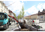 Fotografie: Zwei Männer halten einen Baum, der in ein Hochbeet gehoben wird.