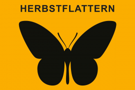 Schwarzer Schmetterling auf gelben Hintergrund - Vorschaubild zum Videomapping-Projekt Herbstflattern