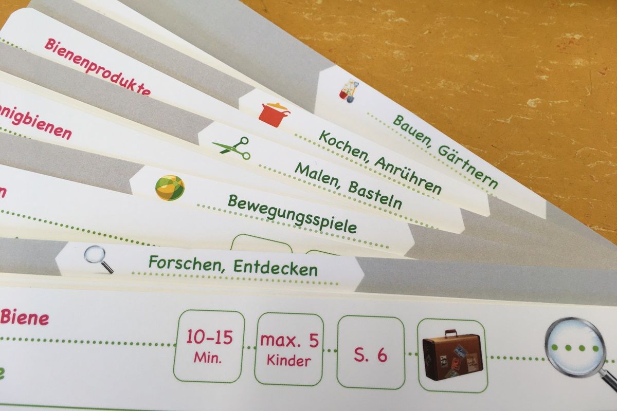 Vorschaubild Bienenkoffer