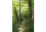 Fotografie - Wanderweg (C) Bilddokumentation Stadt Regensburg