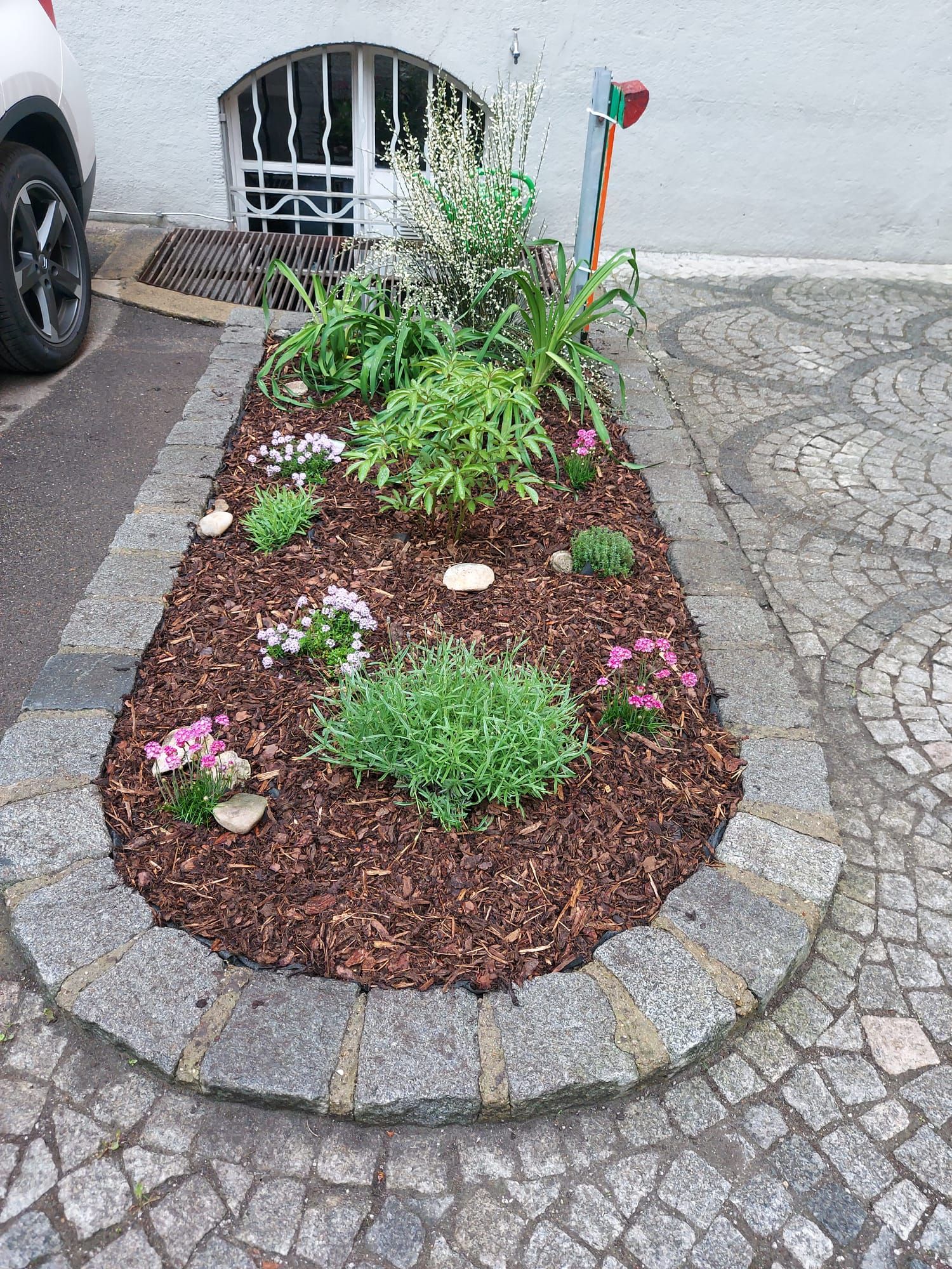 Blumenbeet2