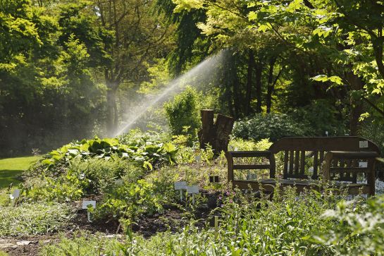 Fotografie: Botanischer Garten