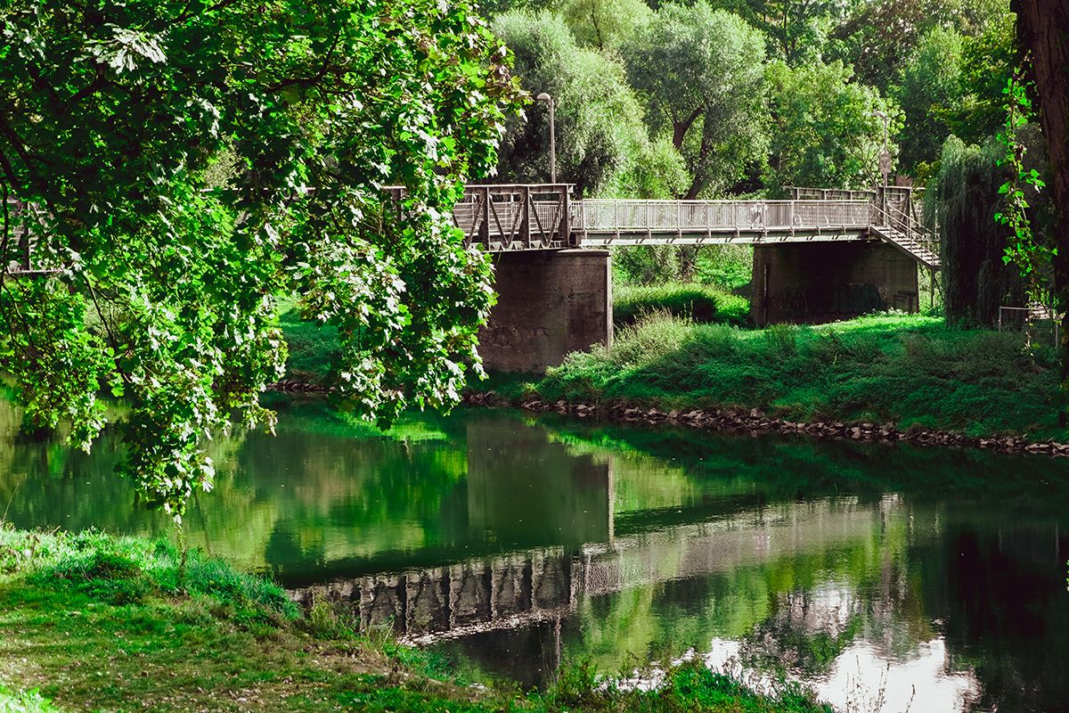Fotografie - Grieser Steg im Sommer, umgeben von grünen Bäumen, mit Spiegelung der Brücke im ruhigen Wasser.