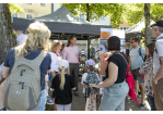Welterbetag 2023: Welterbemeile Marc-Aurel-Ufer: Geschichte hautnah (C) Stadt Regensburg, Christian Kaister