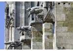 Dom Wasserspeier © Stadt Regensburg Peter Ferstl
