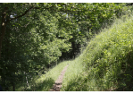 Fotografie - Wanderweg (C) Bilddokumentation Stadt Regensburg