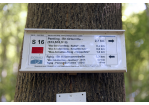 naturschutzgebiete_max-schultze-steig8 © Bilddokumentation Stadt Regensburg