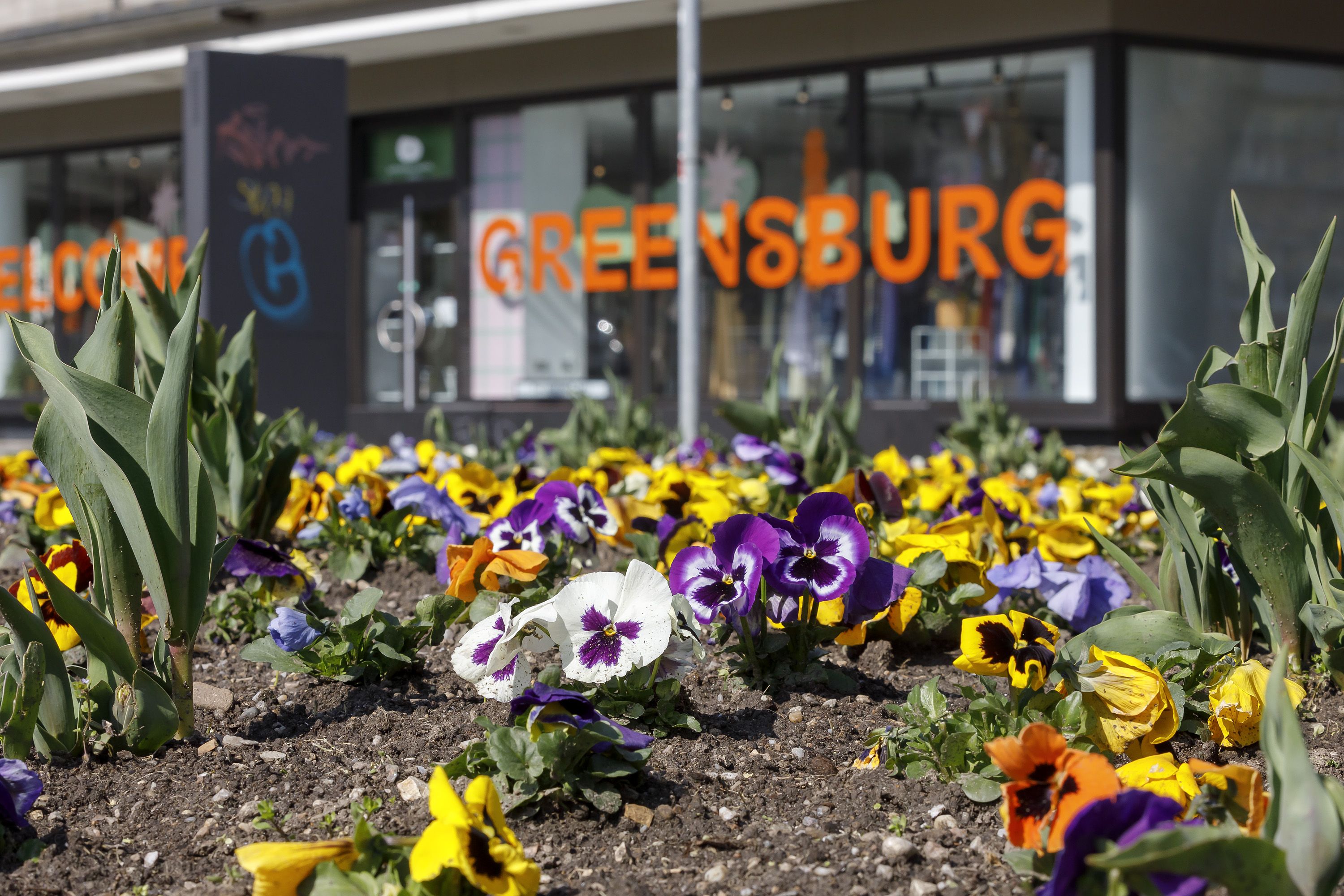 Fotografie: Bepflanztes Blumenbeet