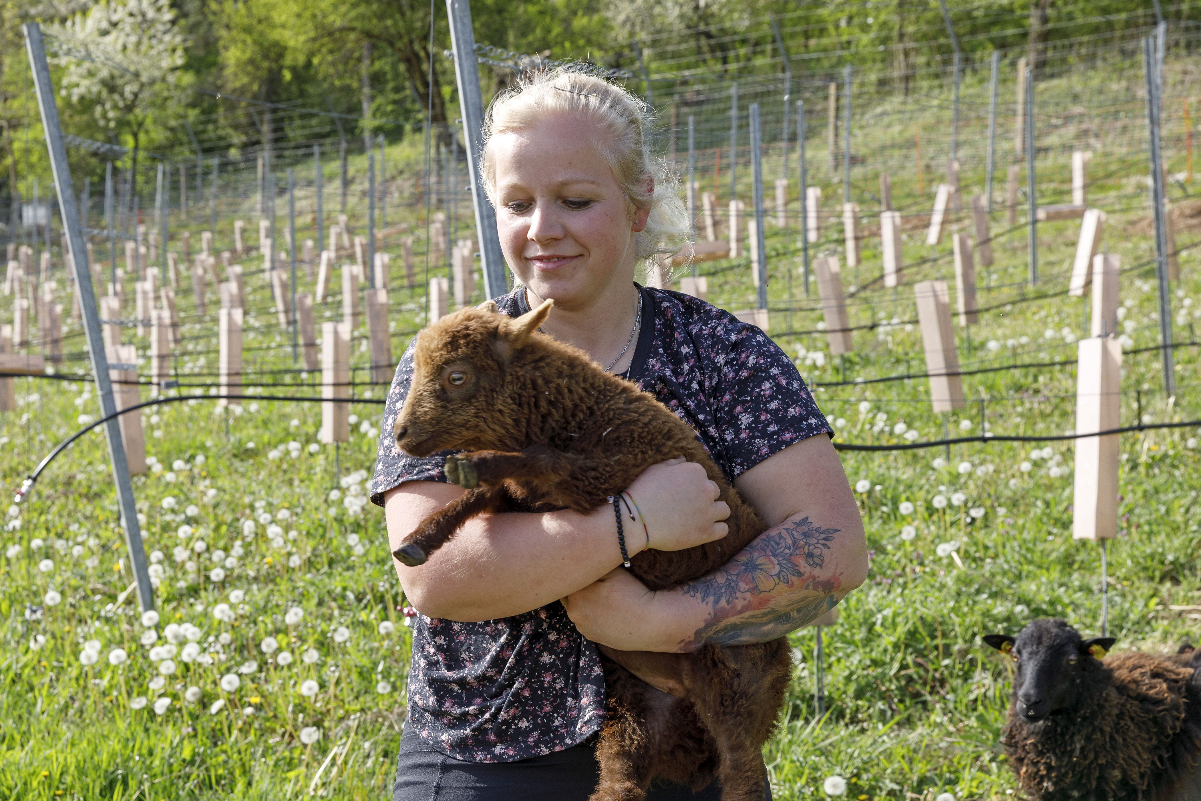 Fotografie: Schäferin Christine hält ein kleines Lamm auf dem Arm. 