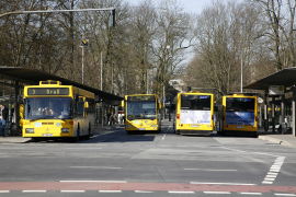 Busse in der Albertstraße