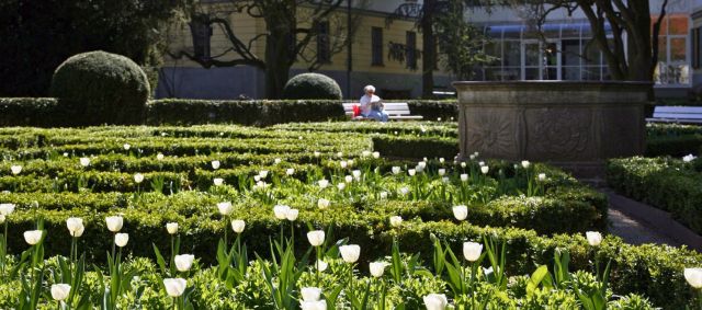 Fotografie - Frühling