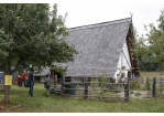Archiv - Denkmaltag 2019 - Bajuwarenhaus (C) Bilddokumentation Stadt Regensburg