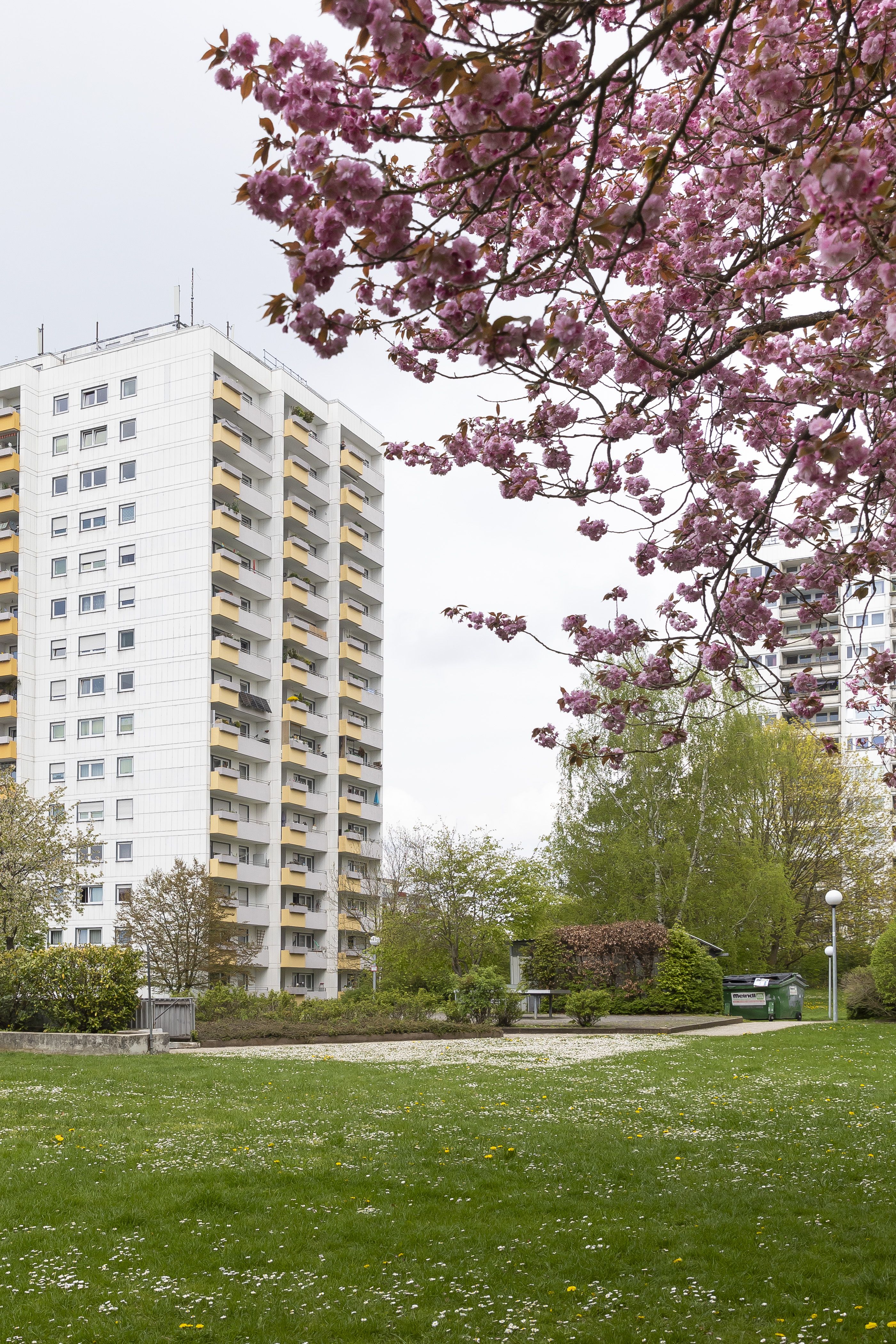 Fotografie: Ein Hochhaus neben einem blühenden Baum auf einer Wiese