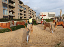 Spielplätze in Regensburg - Wild-West-Spielplatz 01